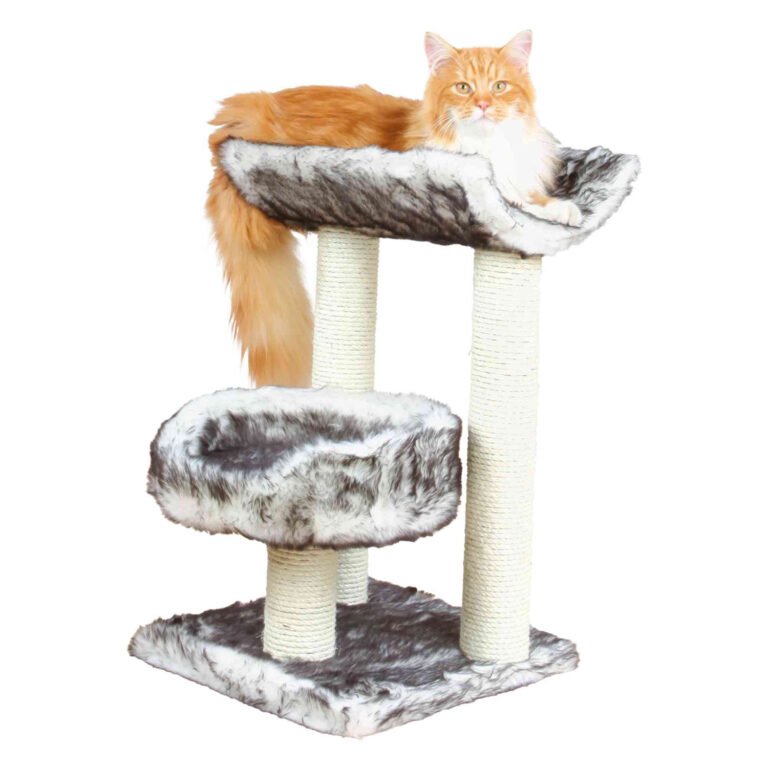 TRIXIE Poste Rascador Isaba, 62 cm, Negro-Blanco
