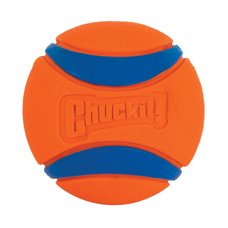 CHUCKIT ULTRA BALL - 1 UD PELOTA ULTRA RESISTENTE XL 9 CM