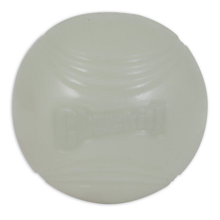 CHUCKIT MAX GLOW BALL - 1 UD PELOTA GRANDE FOTOLUMINISCENTE