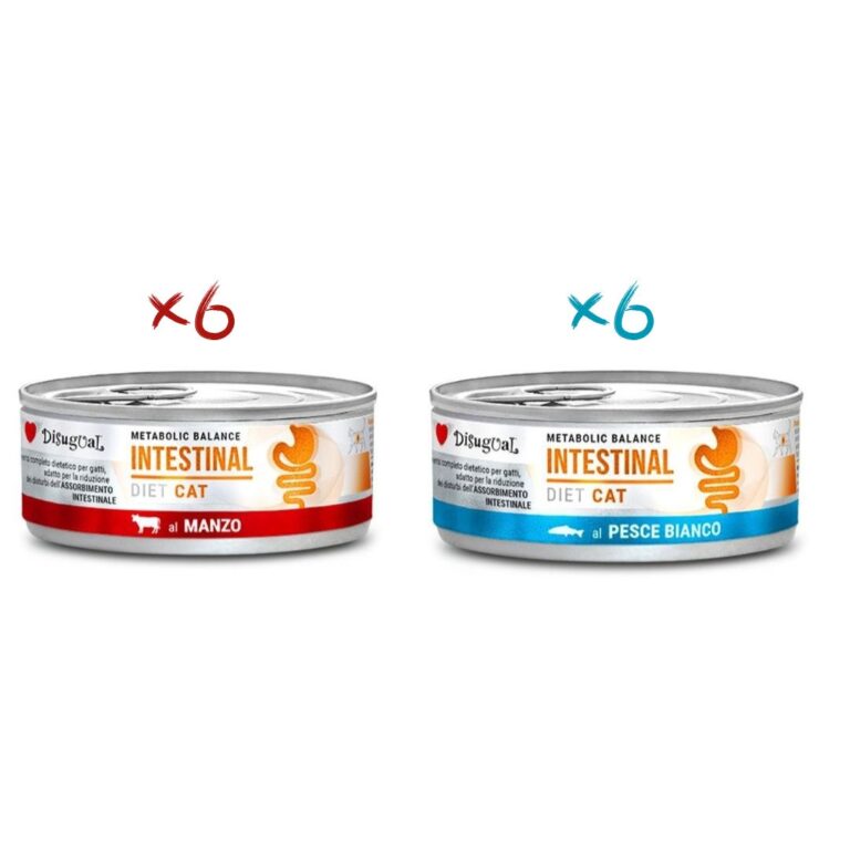 Disugual Intestinal Gato Pack 12x85Gr Varios Sabores: Ternera y Pescado blanco