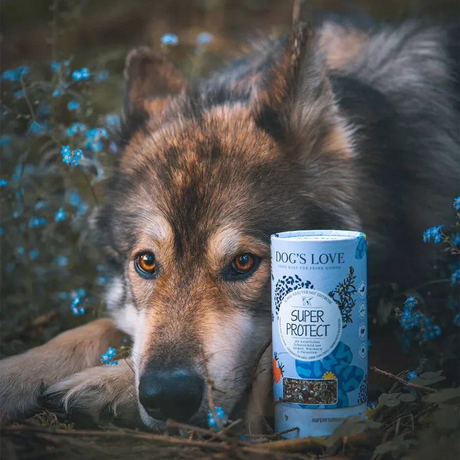 Dog's Love Hierbas Super Protect, Ayuda natural contra las garrapatas