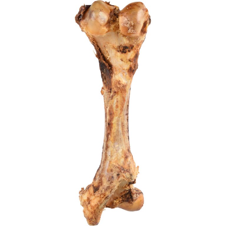 Flamingo Nature Snack Carnoso Tibia Hueso (Jumbo Hueso) 800Gr