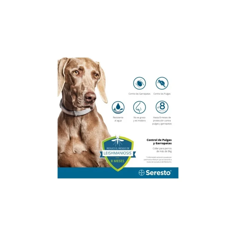 Seresto Collar antiparasitario Perros  70cm +8kg - Imagen 4