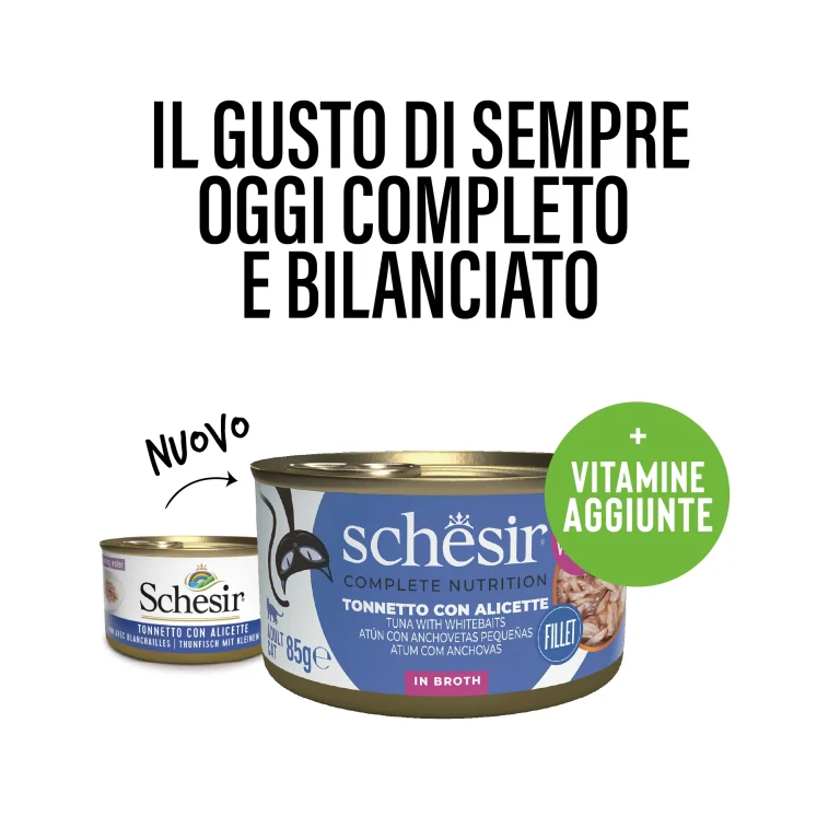 SCHESIR GATO Atún con anchovetas pequeñas en gelatina 12x85gr - Imagen 2