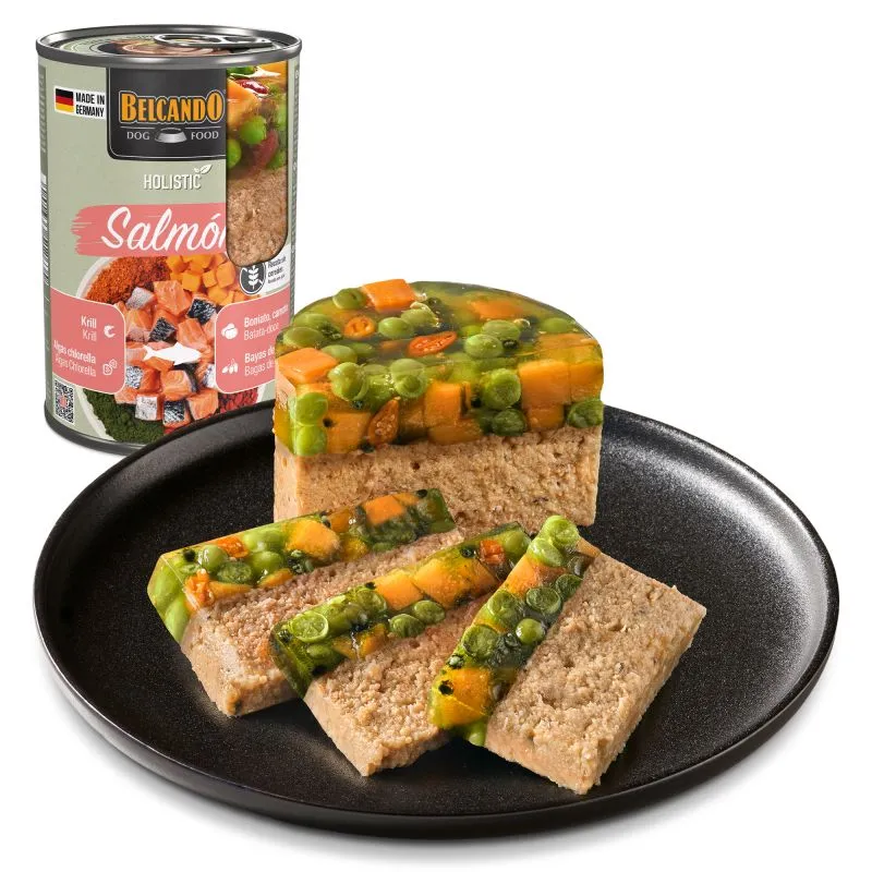 BELCANDO Holistic Salmón| Nutrición Holística Sin Cereales 6x400gr